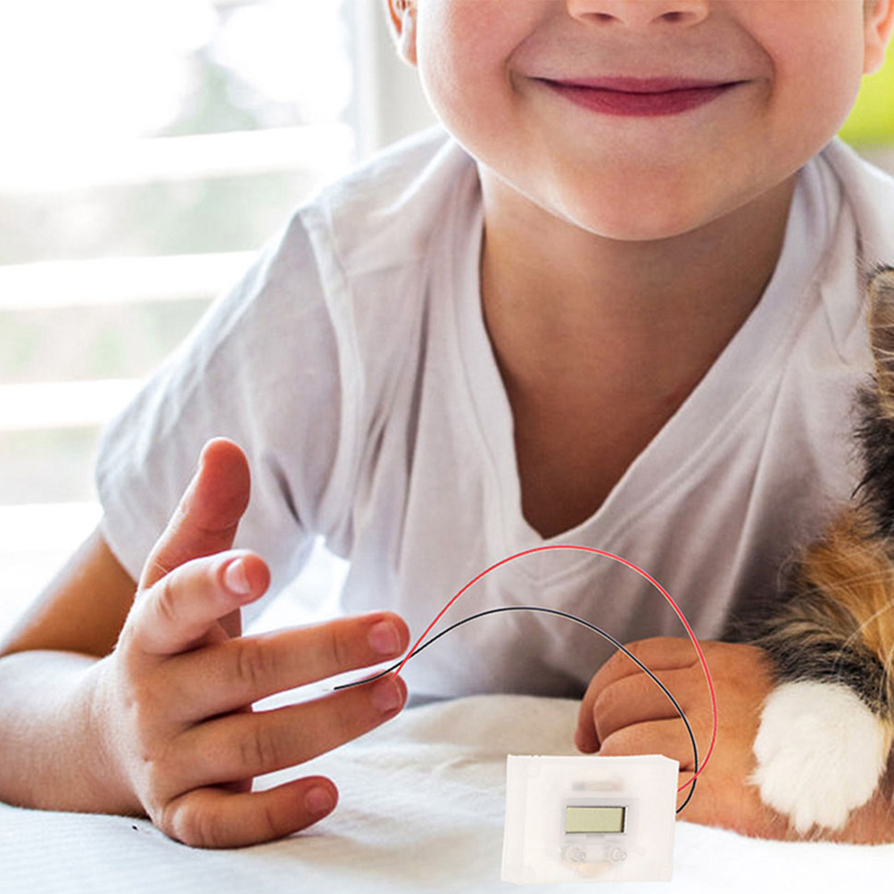 1 set fruitbatterijen maken vo - Renewable Energy Is recensie en prijs